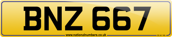 BNZ 667