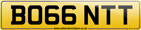 BO66 NTT