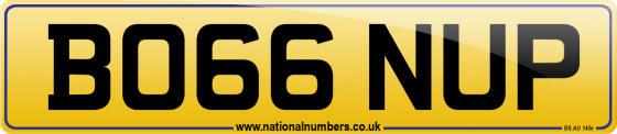BO66 NUP
