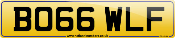 BO66 WLF