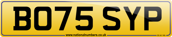 BO75 SYP