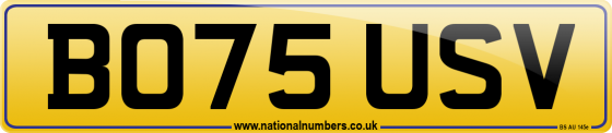 BO75 USV
