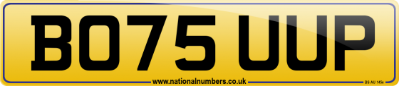BO75 UUP