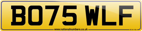 BO75 WLF