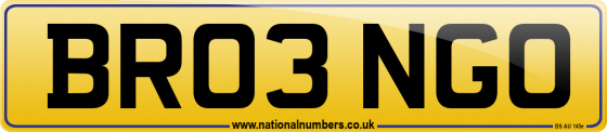 BR03 NGO