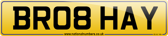 BR08 HAY