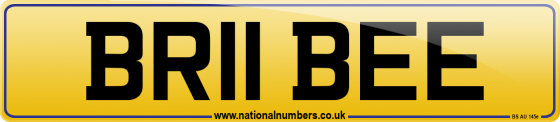 BR11 BEE
