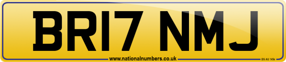 BR17 NMJ