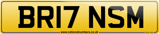 BR17 NSM