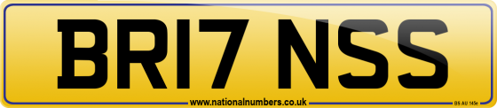 BR17 NSS