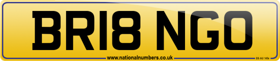 BR18 NGO