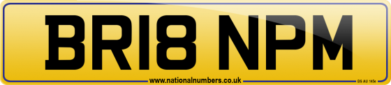 BR18 NPM