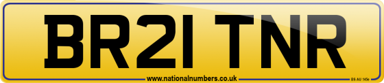 BR21 TNR