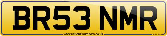 BR53 NMR