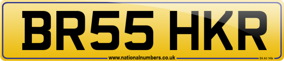 BR55 HKR