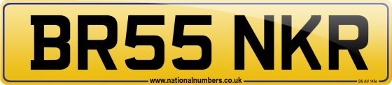 BR55 NKR