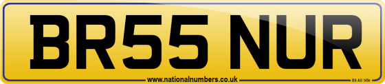BR55 NUR