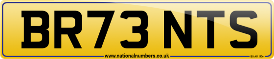 BR73 NTS