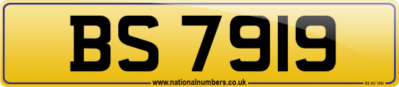 BS 7919