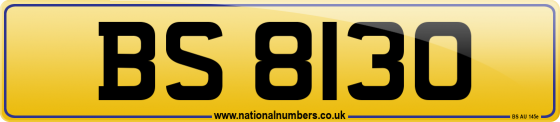 BS 8130
