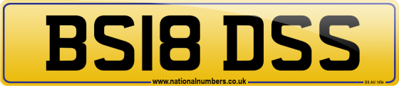 BS18 DSS