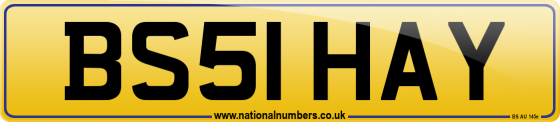 BS51 HAY