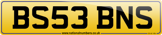 BS53 BNS