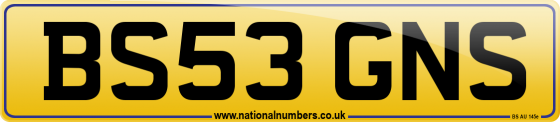 BS53 GNS