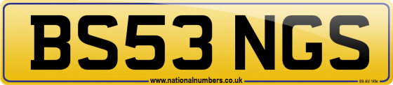BS53 NGS