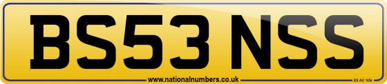 BS53 NSS
