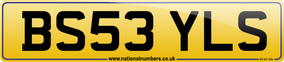 BS53 YLS
