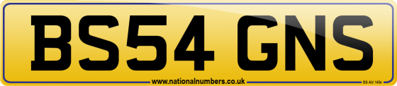 BS54 GNS