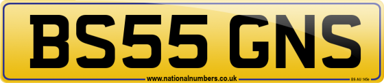 BS55 GNS