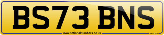 BS73 BNS