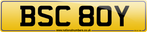 BSC 80Y