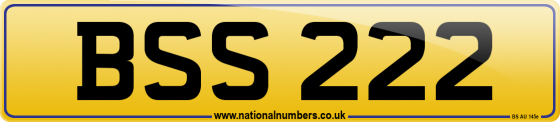 BSS 222