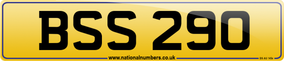 BSS 290