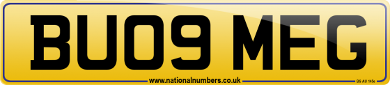BU09 MEG