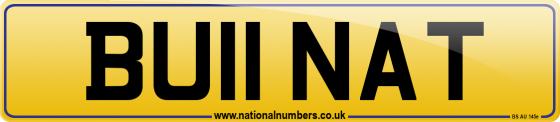 BU11 NAT