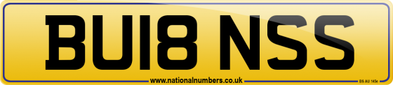 BU18 NSS