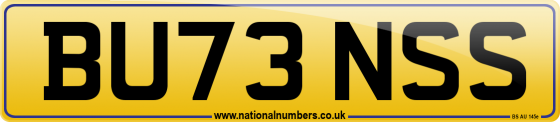 BU73 NSS