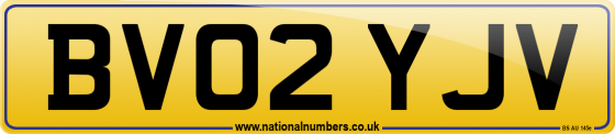 BV02 YJV
