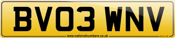 BV03 WNV