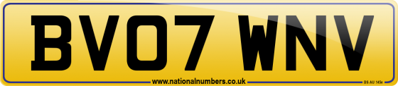 BV07 WNV