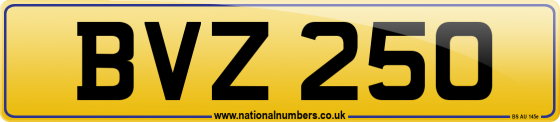 BVZ 250