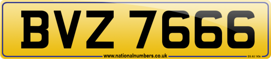 BVZ 7666