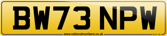 BW73 NPW