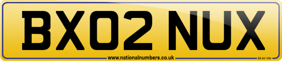 BX02 NUX