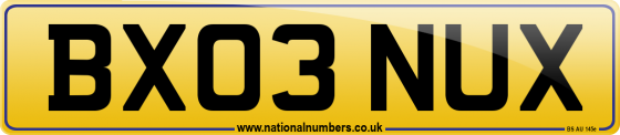 BX03 NUX