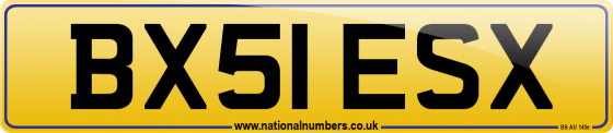 BX51 ESX